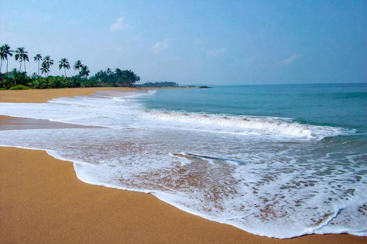 Bohemian Hotel - Negombo Kurana Katunayaka Экстерьер фото
